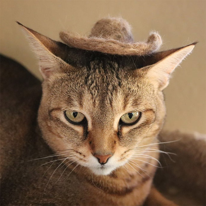 A hat made from cat's own fur? Why not!