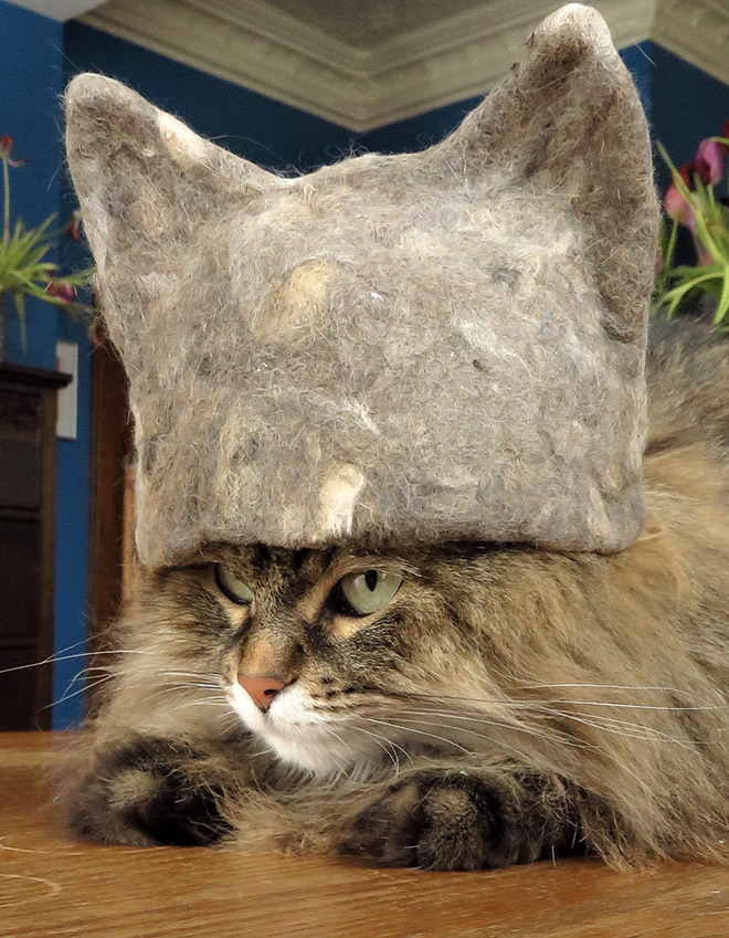 A hat made from cat's own fur? Why not!