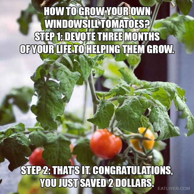 Step 1: devote three months of your life to helping them grow. Step 2: That's it. Congratulations, you just saved 2 dollars.
