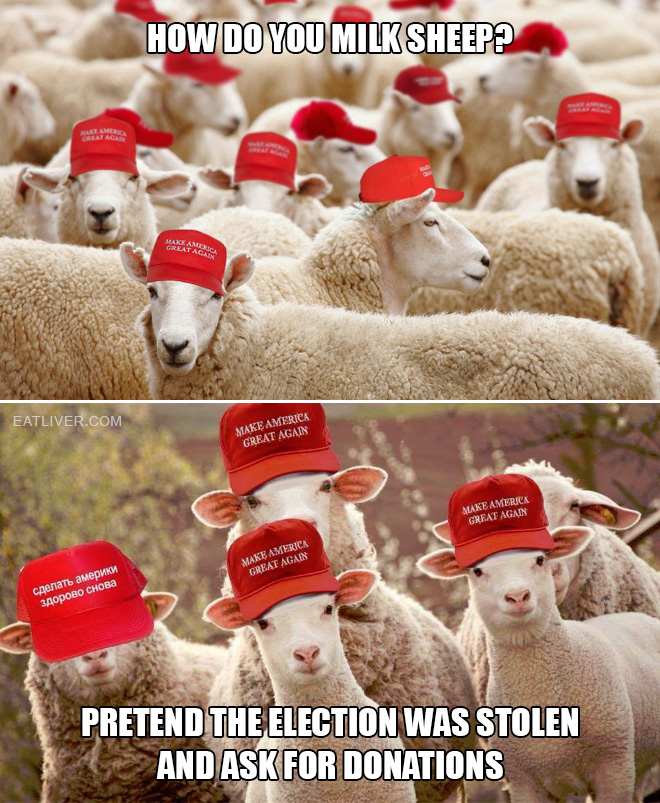 How do you milk sheep? Pretend the election was stolen and ask for donations.