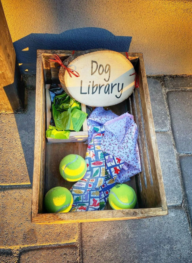 This is an excellent idea for dog owners!