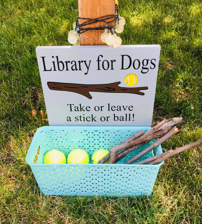 This is an excellent idea for dog owners!