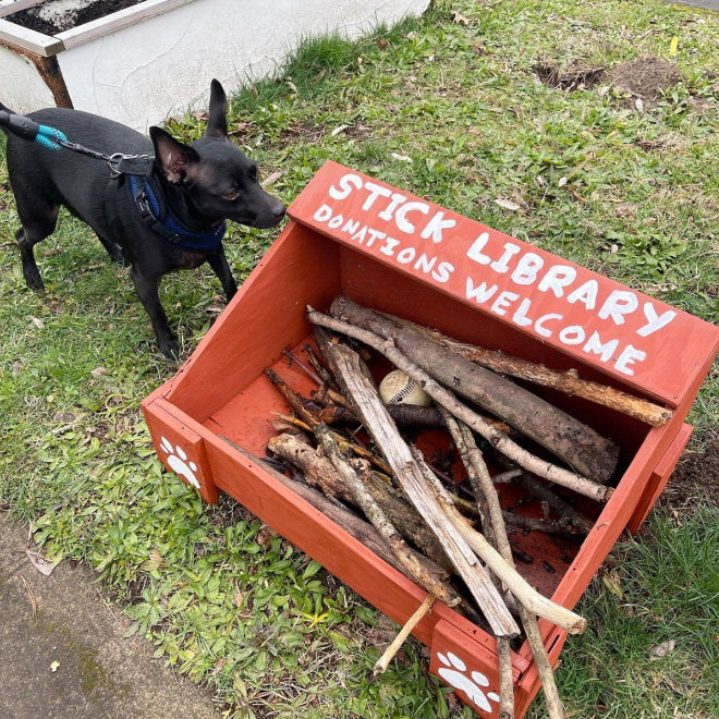 This is an excellent idea for dog owners!