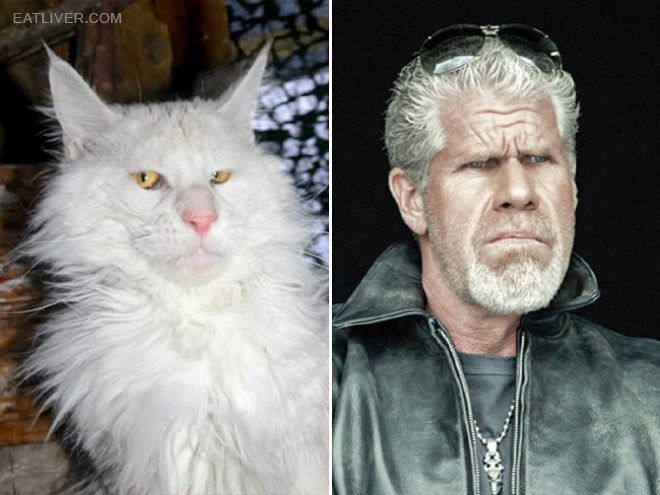 Ron Perlman stunt double.