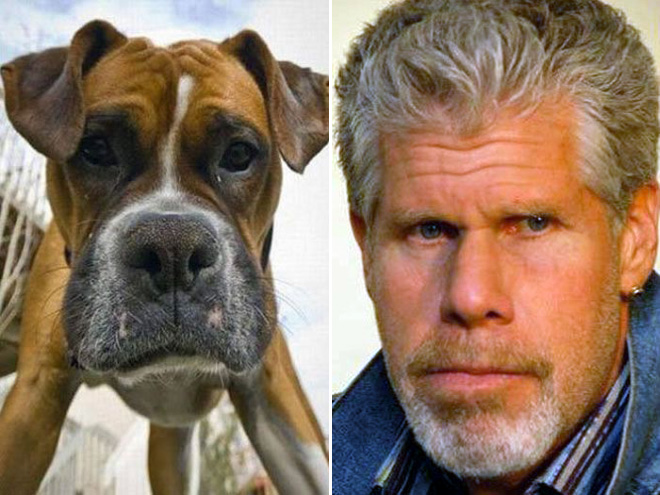 Ron Perlman stunt double.