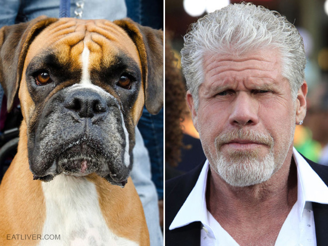 Ron Perlman stunt double.