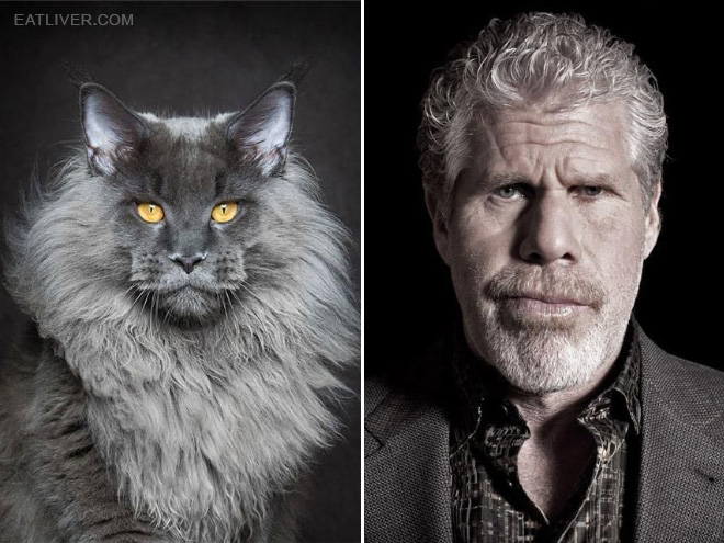 Ron Perlman stunt double.