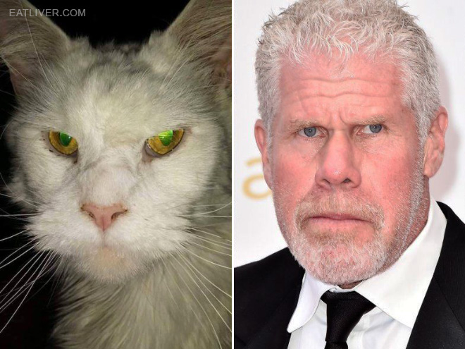 Ron Perlman stunt double.