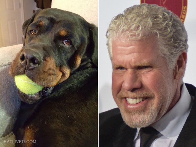 Ron Perlman stunt double.