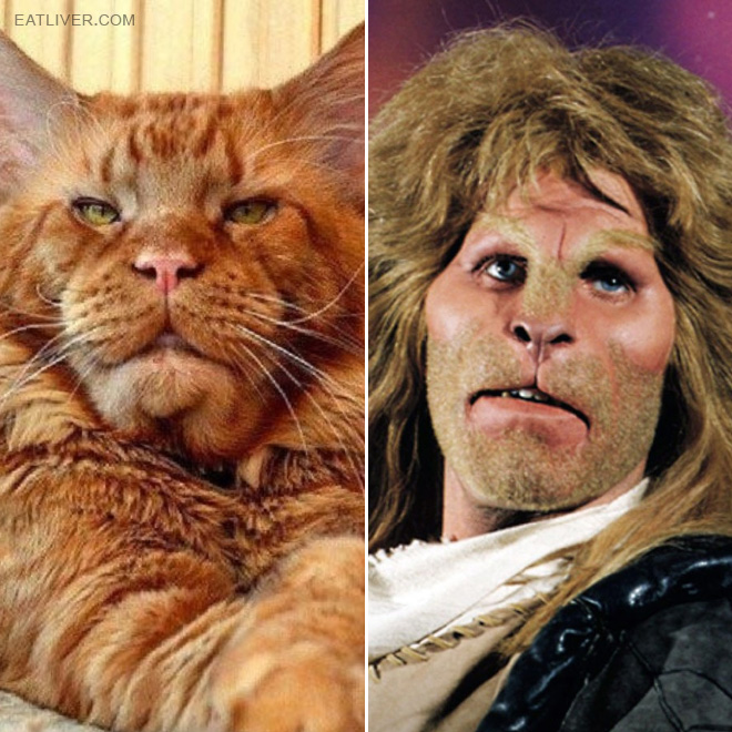 Ron Perlman stunt double.