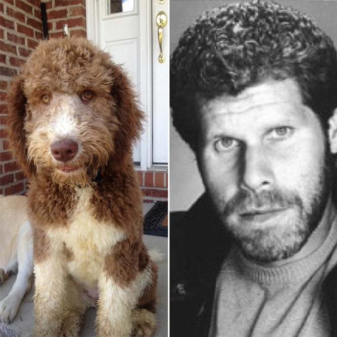 Ron Perlman stunt double.