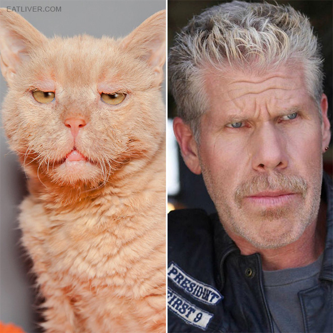 Ron Perlman stunt double.