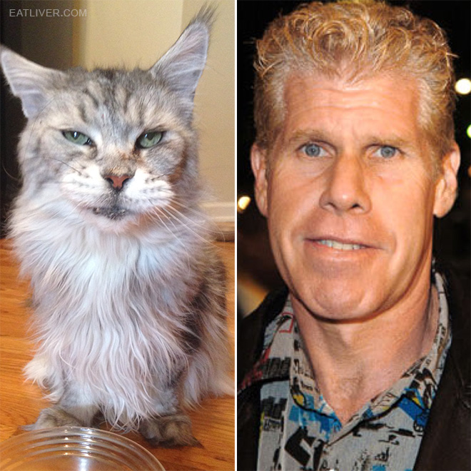 Ron Perlman stunt double.