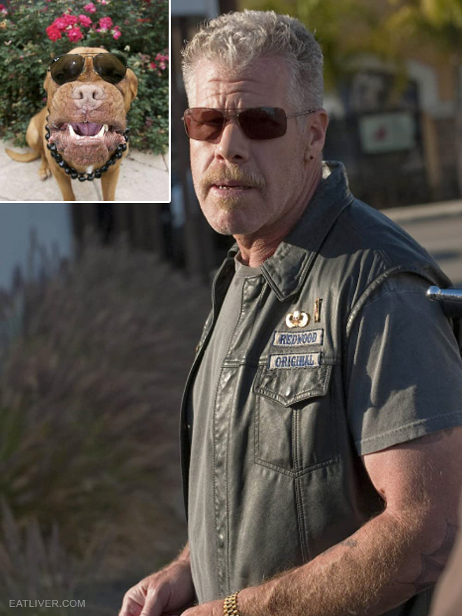 Ron Perlman stunt double.