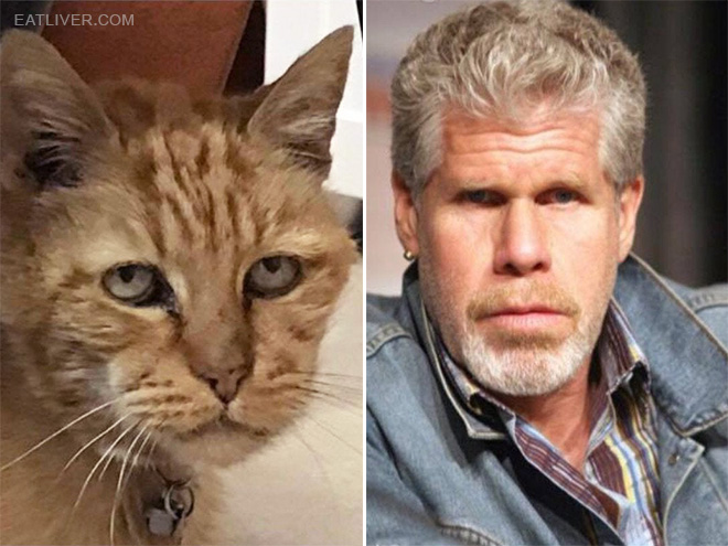 Ron Perlman stunt double.