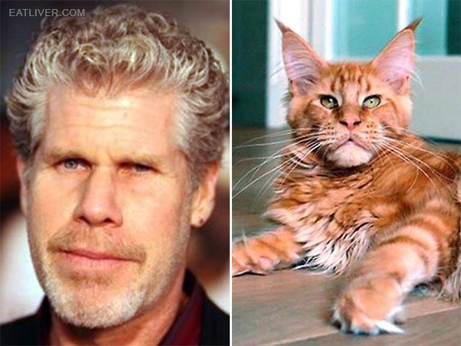 Ron Perlman stunt double.