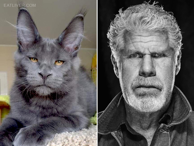 Ron Perlman stunt double.