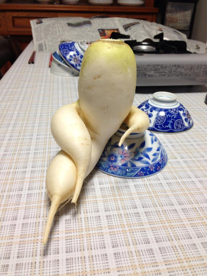 Who would have thought that radishes are so sexy?