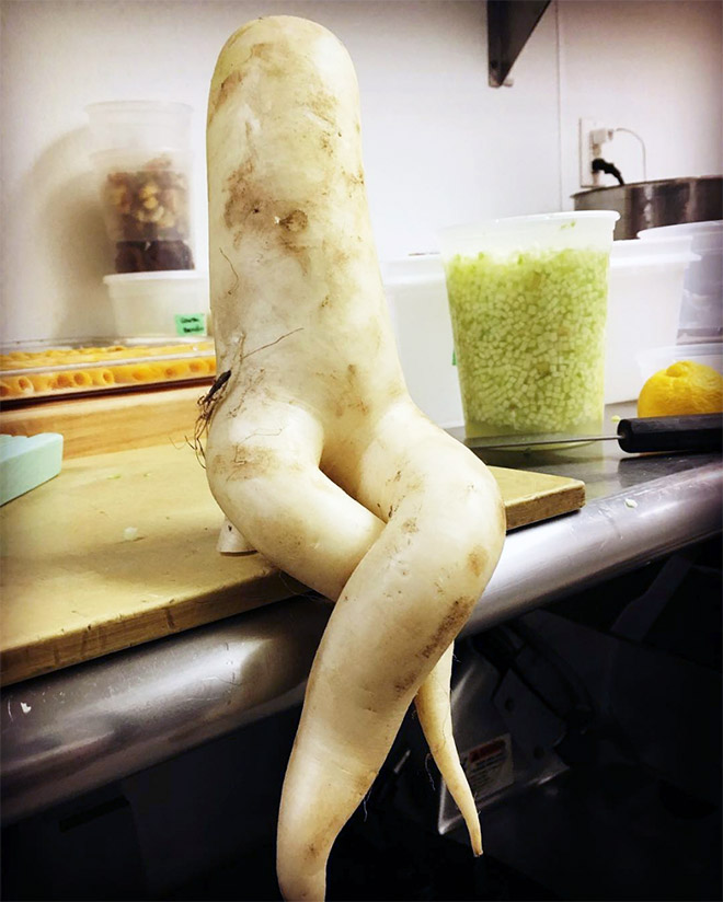 Who would have thought that radishes are so sexy?