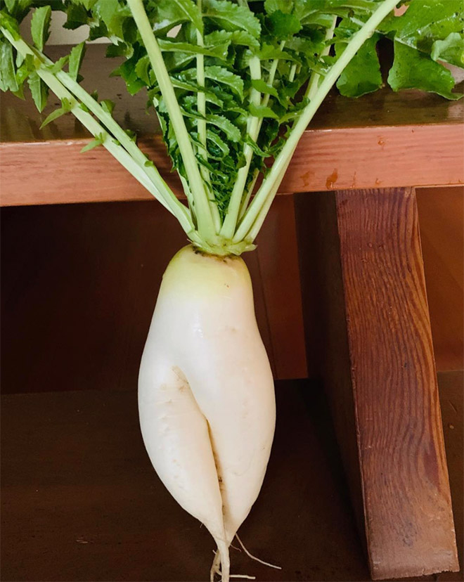 Who would have thought that radishes are so sexy?