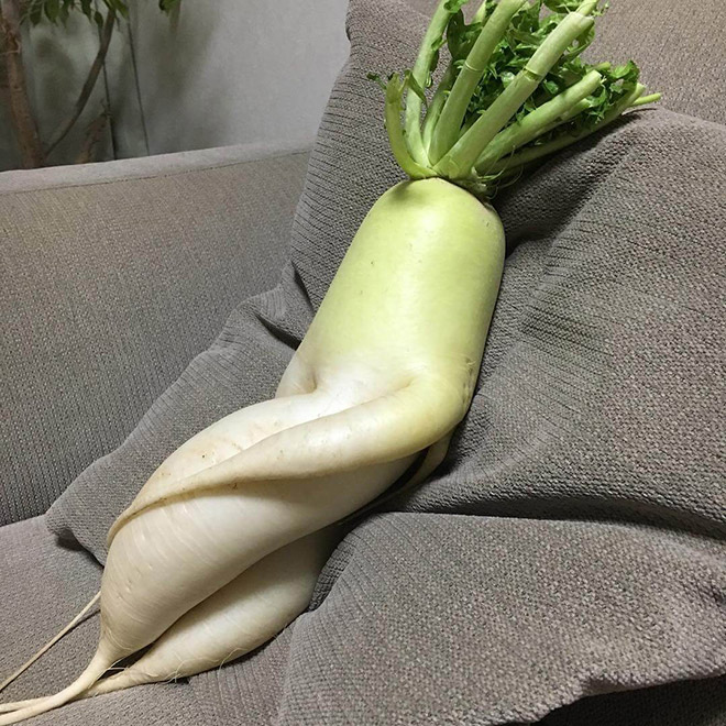 Who would have thought that radishes are so sexy?