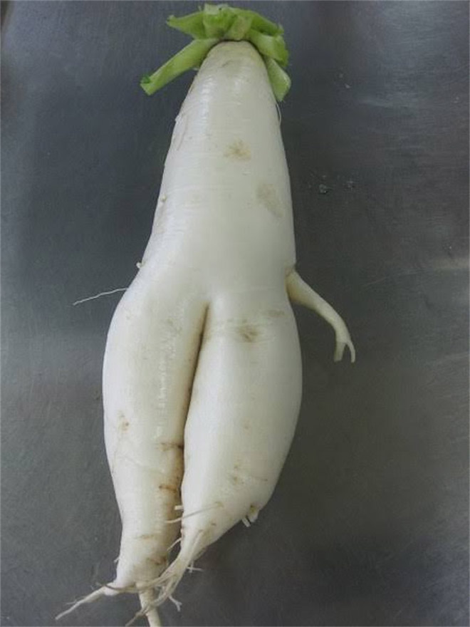 Who would have thought that radishes are so sexy?