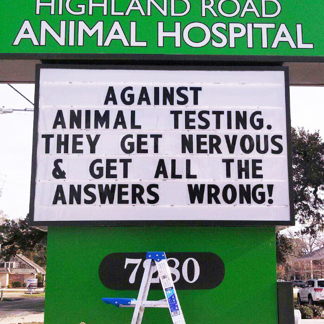 Brilliant vet sign.