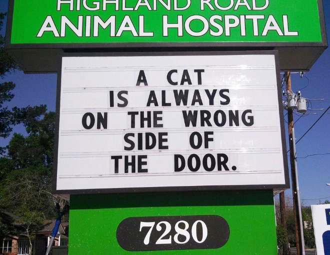 Brilliant vet sign.