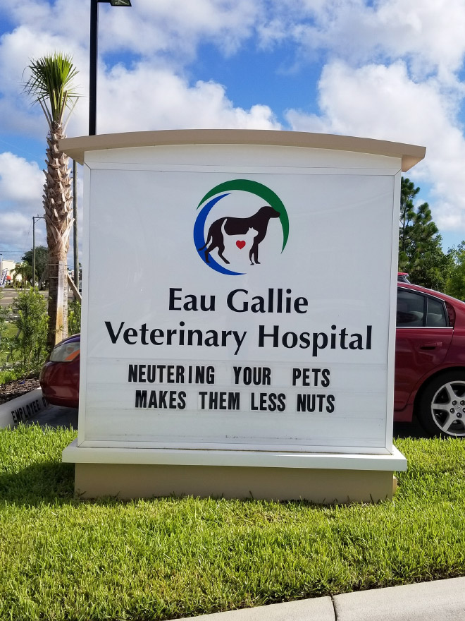 Brilliant vet sign.