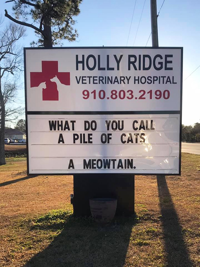 Brilliant vet sign.