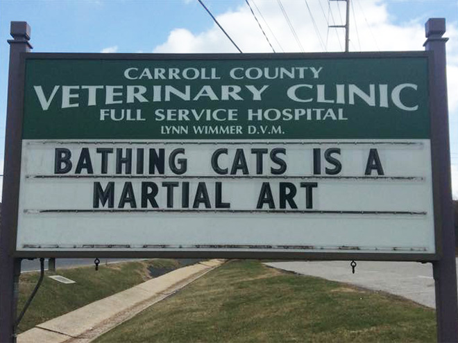 Brilliant vet sign.