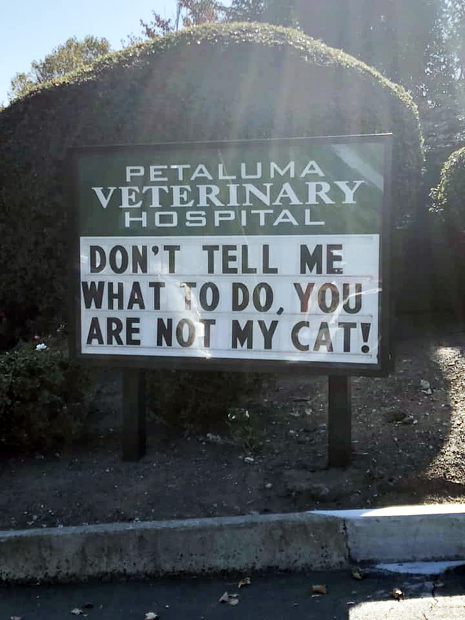 Brilliant vet sign.