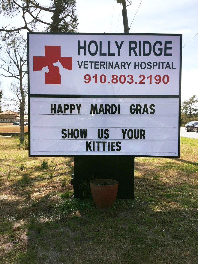 Brilliant vet sign.