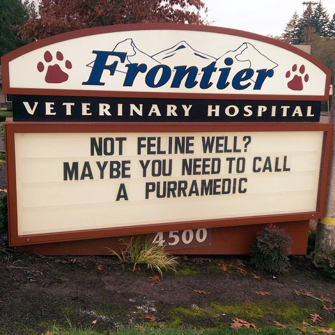 Brilliant vet sign.