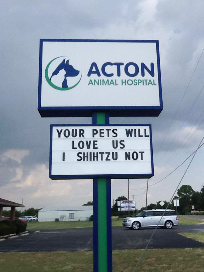 Brilliant vet sign.
