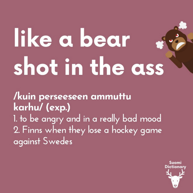 Funny Finnish saying translated.