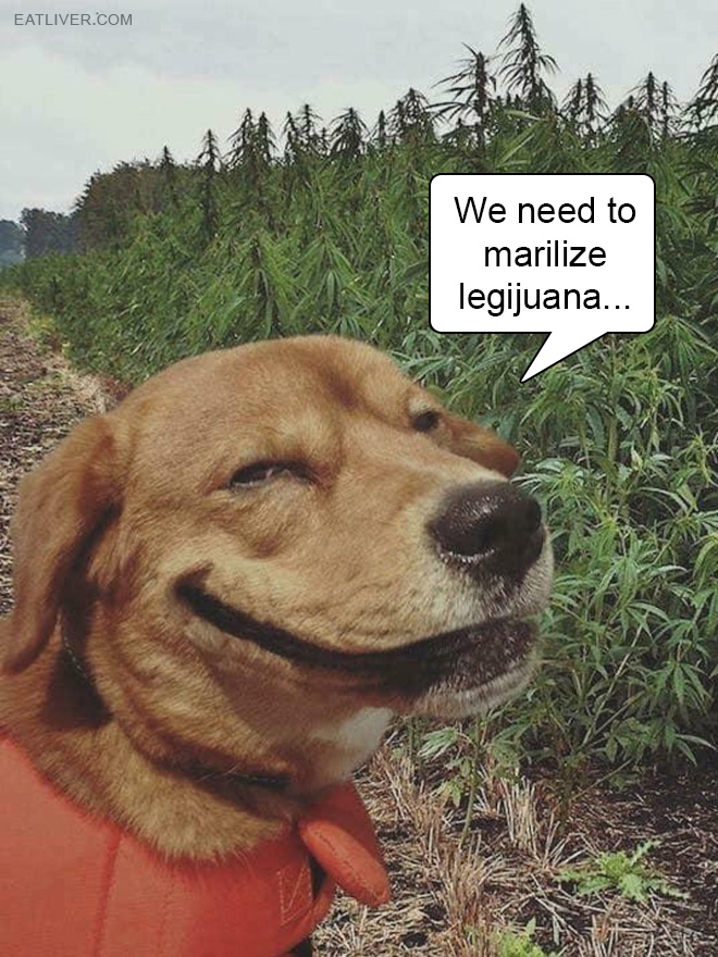 We need to marilize legijuana...