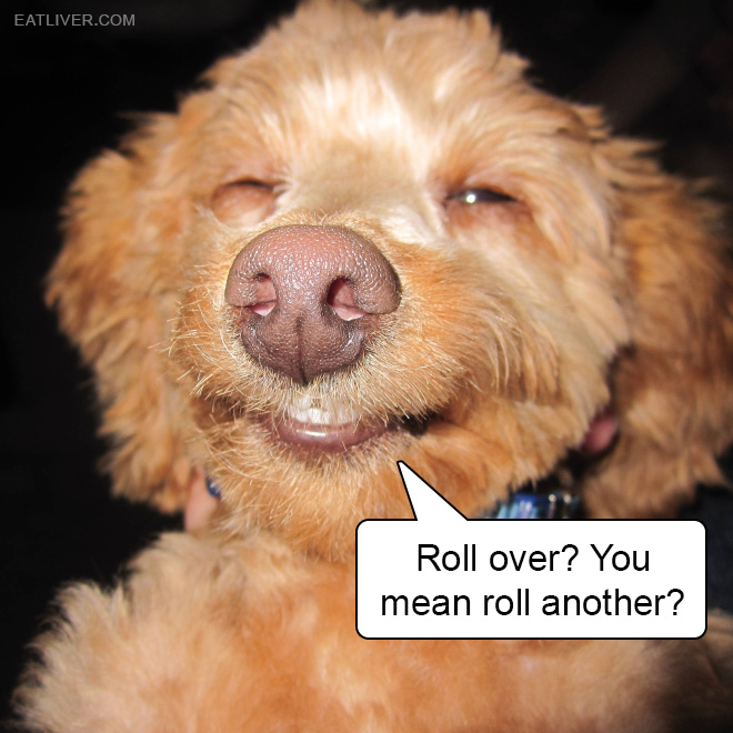 Roll over? You mean roll another?