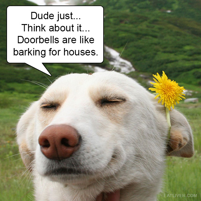 Dude just... Think about it... Doorbells are like barking for houses.