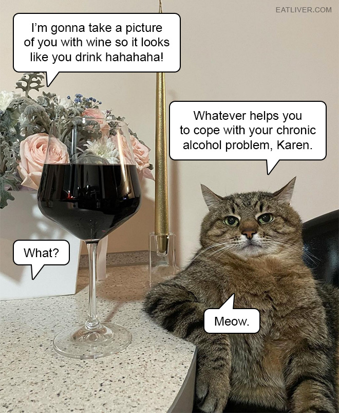 I'm gonna take a picture of you with wine so it looks like you drink hahahaha! Whatever helps you to cope with your chronic alcohol problem, Karen. What? Meow.