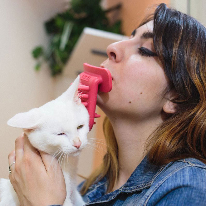 Weird brush for licking your cat.