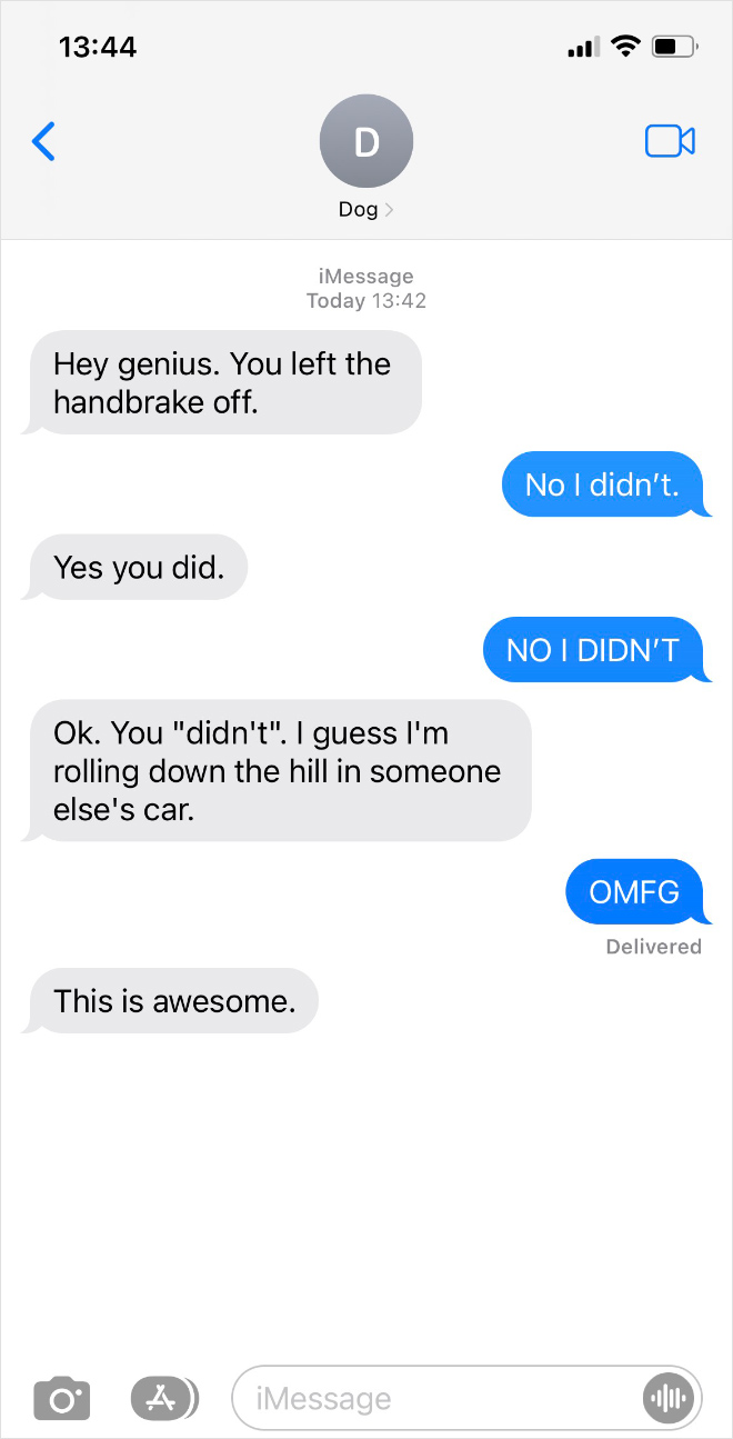 Texting with a dog.