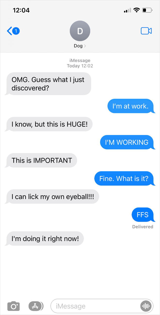 Texting with a dog.