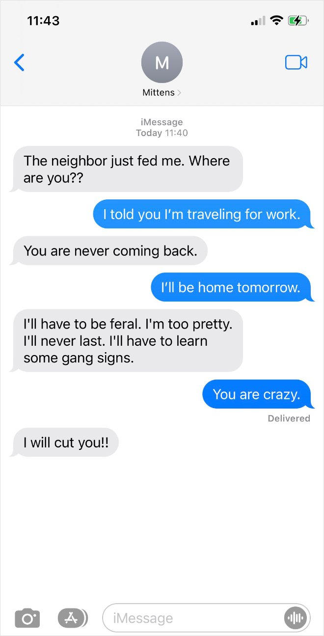 If your cat could text...