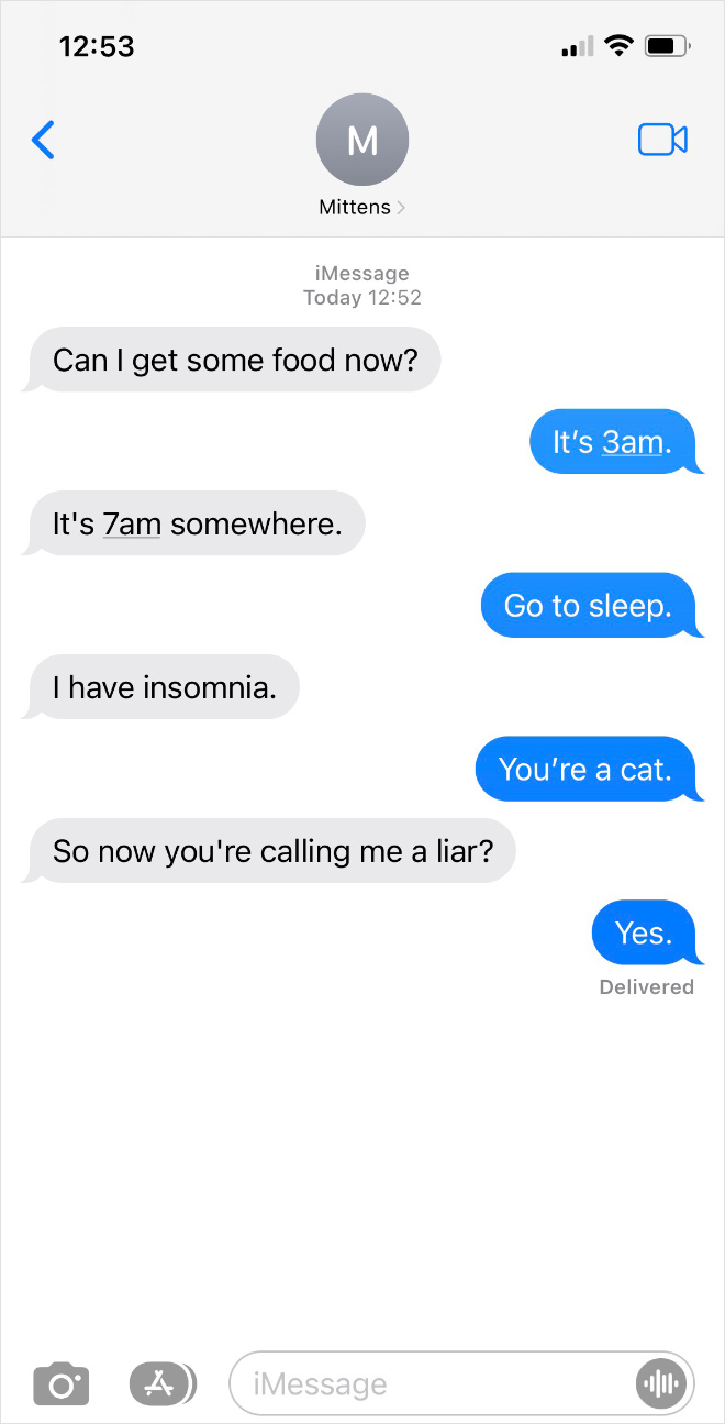 If your cat could text...