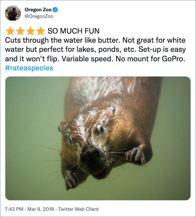 Amazon-style animal review.