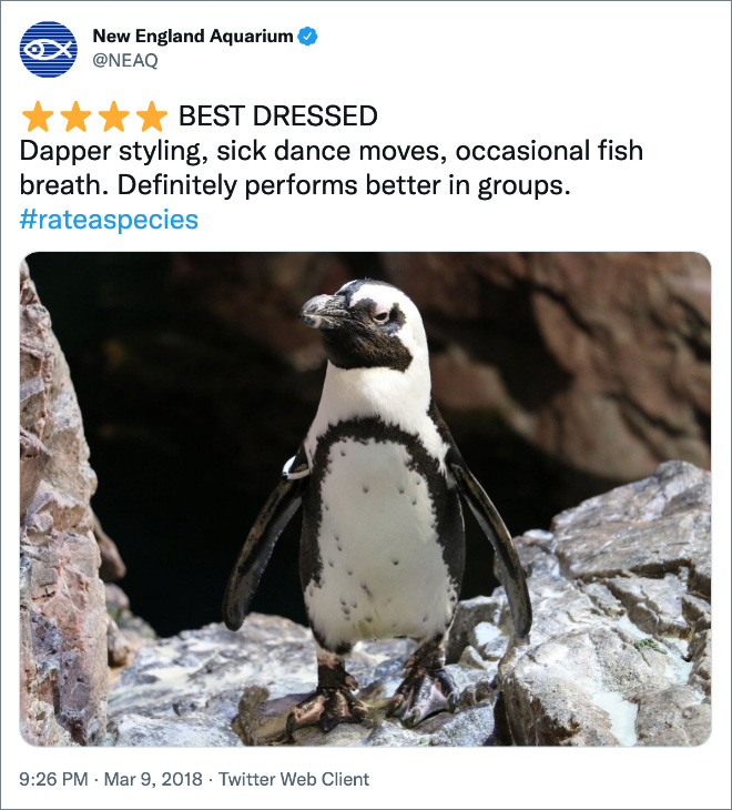 Amazon-style animal review.