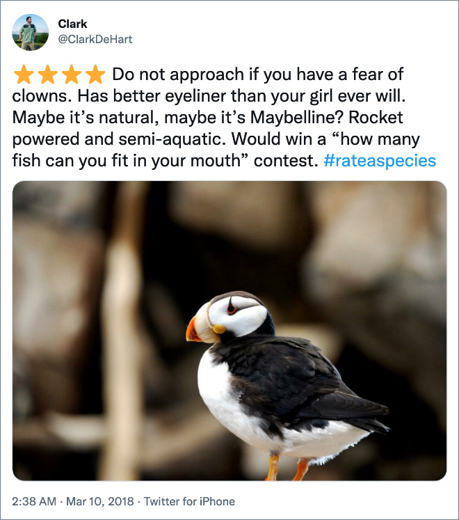 Amazon-style animal review.