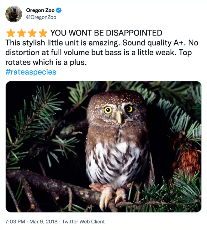 Amazon-style animal review.