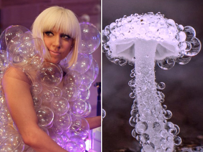 Some mushrooms look exactly like Lady Gaga.